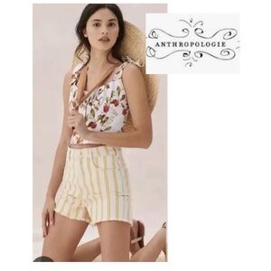 New with tags Anthropologie Pilcro 
The Wanderer Size 30 Striped Denim Shorts